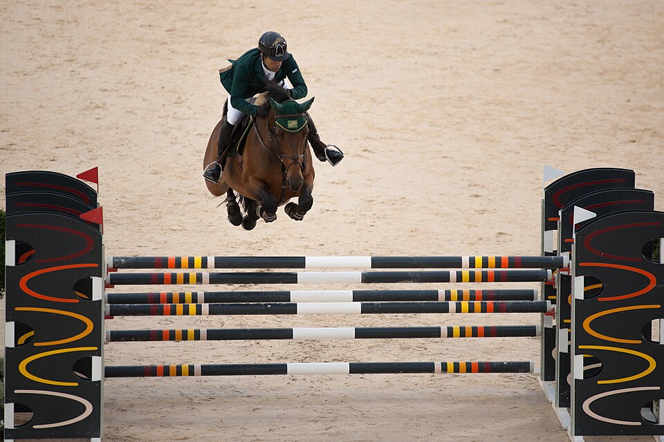equestrian