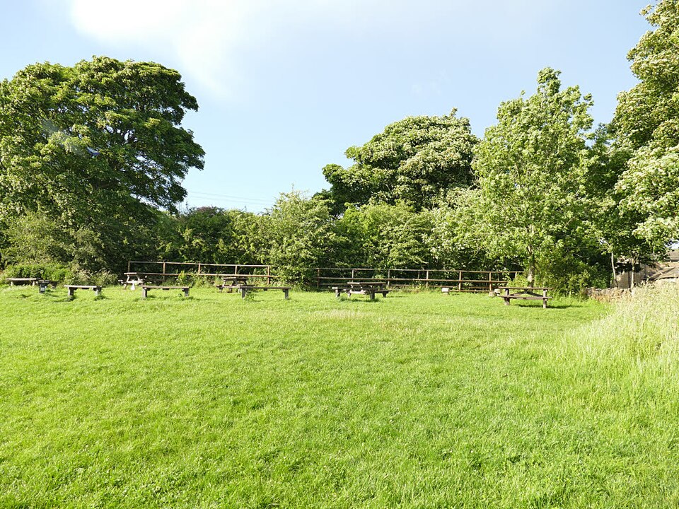 picnic
