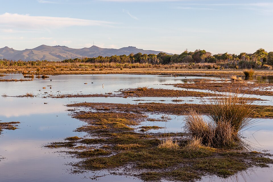 wetlands extra 1