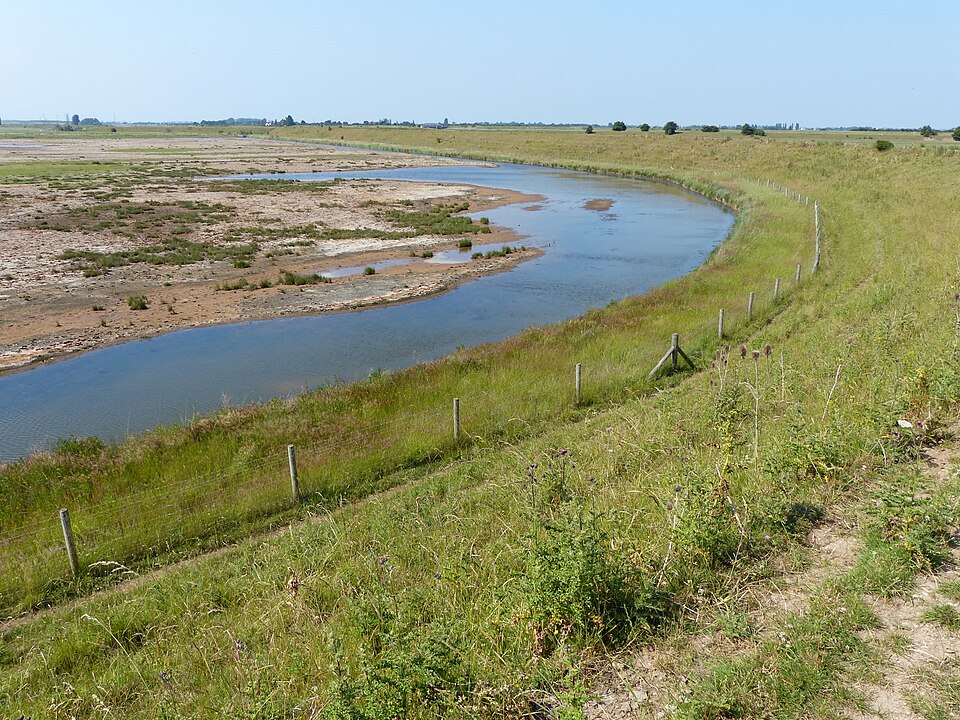 wetlands extra 2